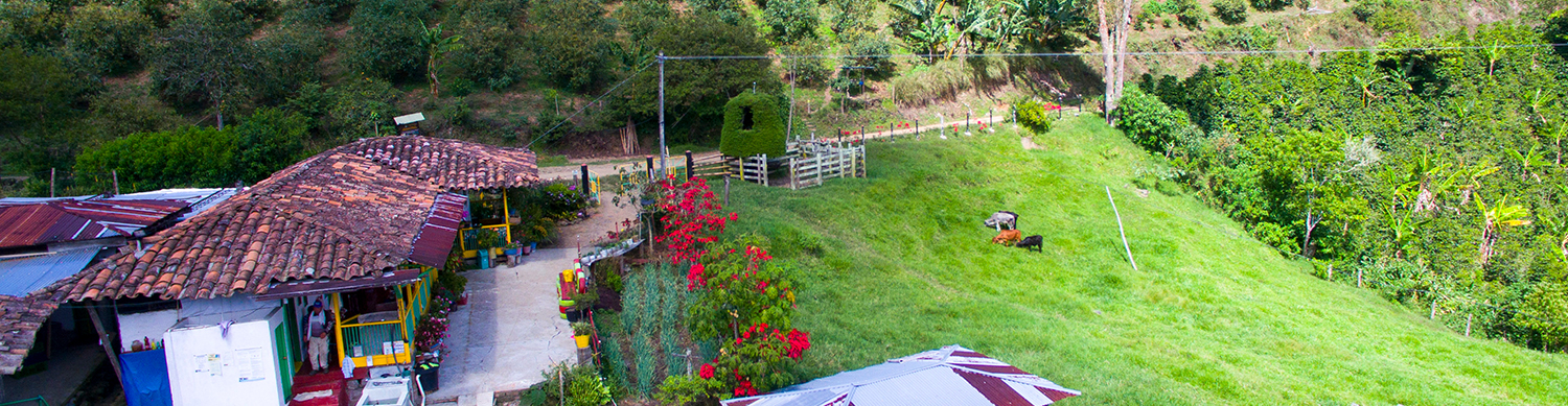 Cafenorte Cafe Bahareque_0003_DJI_0012